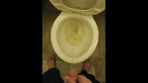 Standard Toilet Pee